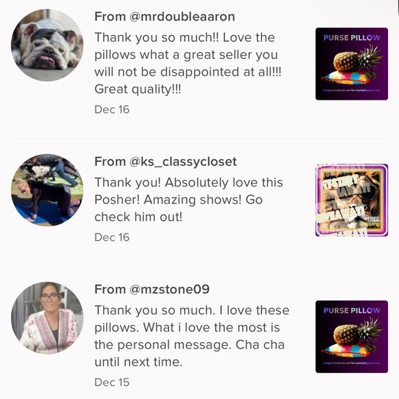 🍍 Purse Pillow (washable) 🦁 - Picture 6 of 16